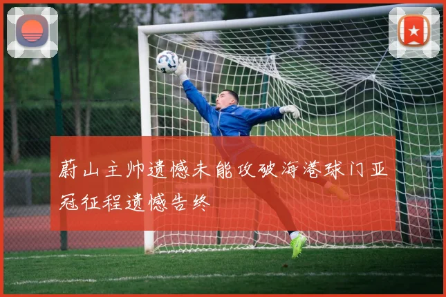 蔚山主帅遗憾未能攻破海港球门亚冠征程遗憾告终